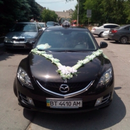 Виталий Алимов