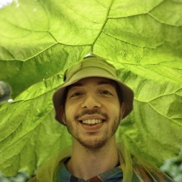 Ярема Островський