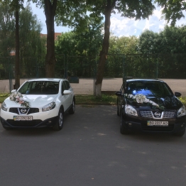 Олександр Дрозд