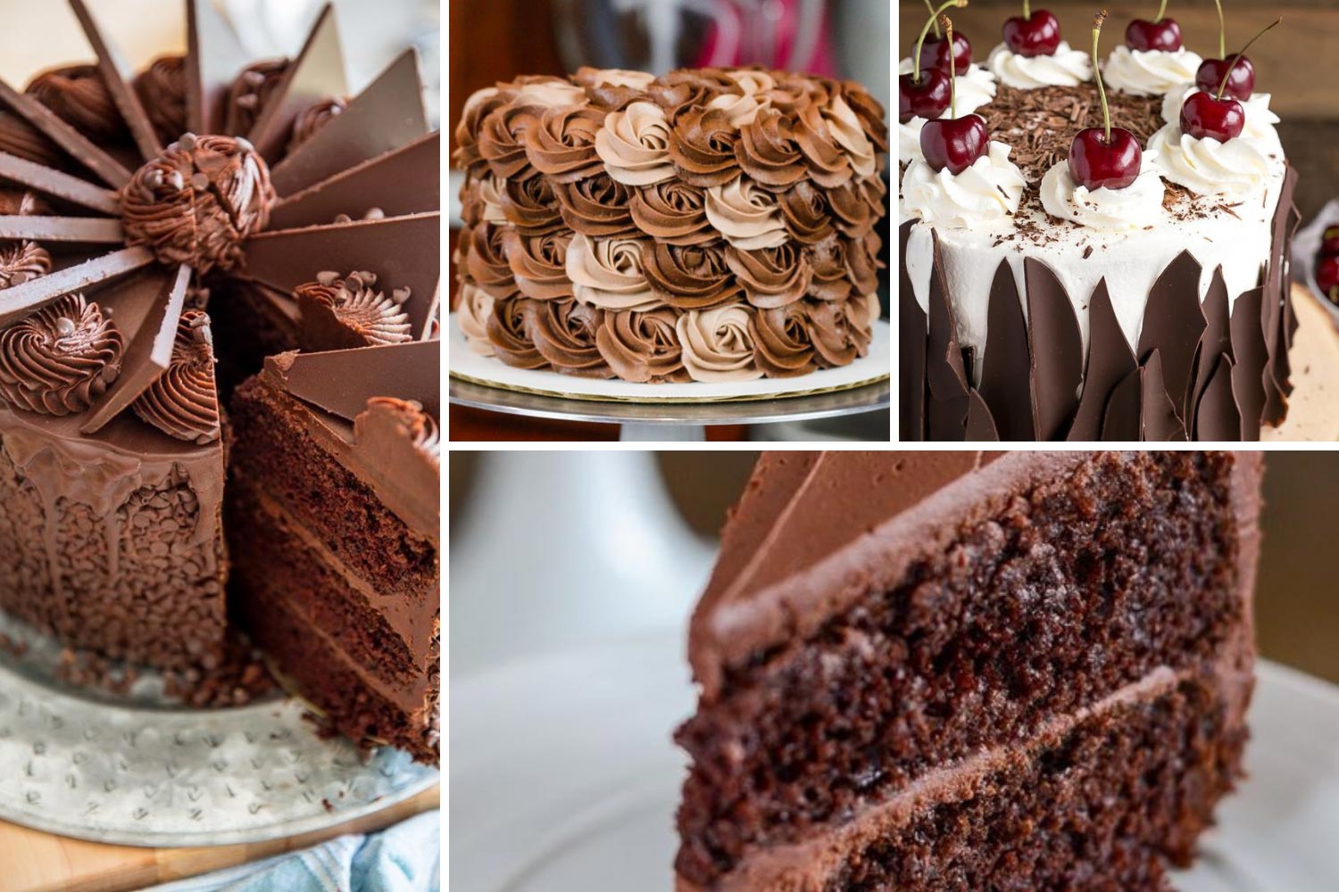Шоколадные торты фото 