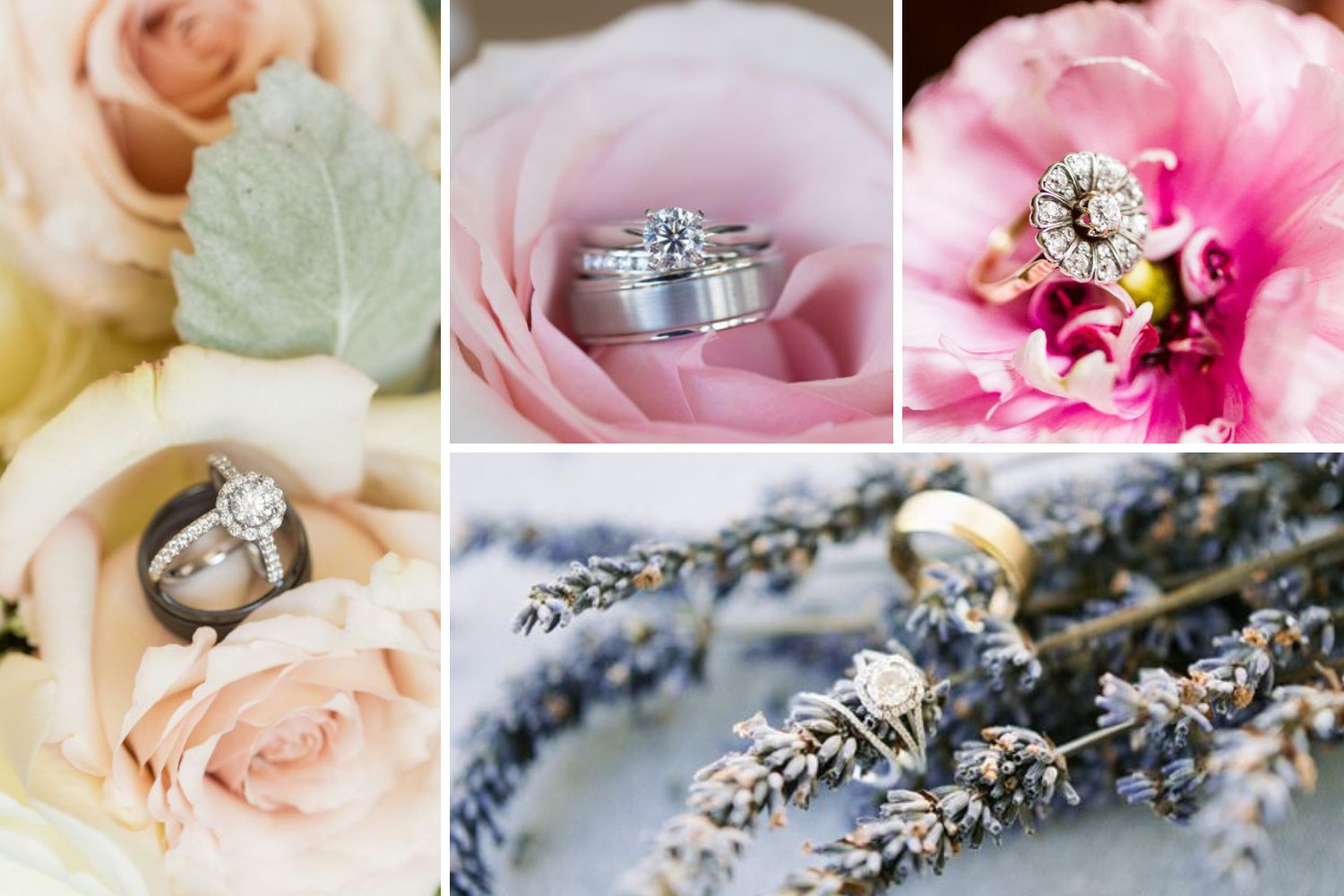 Фото обручок в букеті