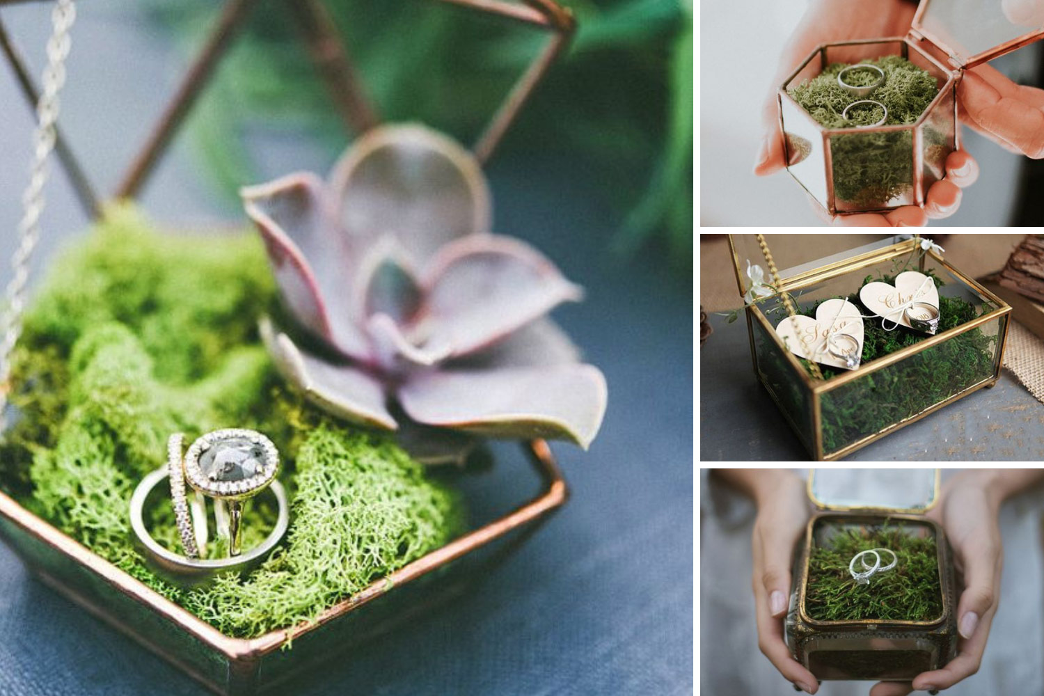 Коробка-флораріум для обручок