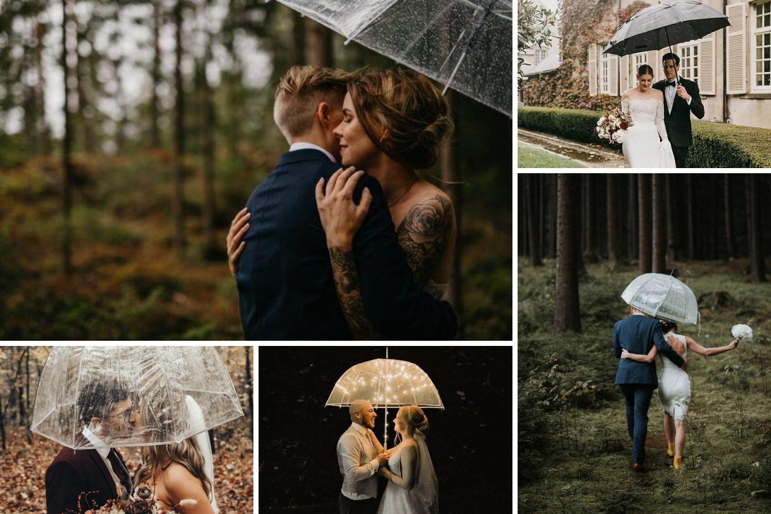 Наречені під парасолькою фото