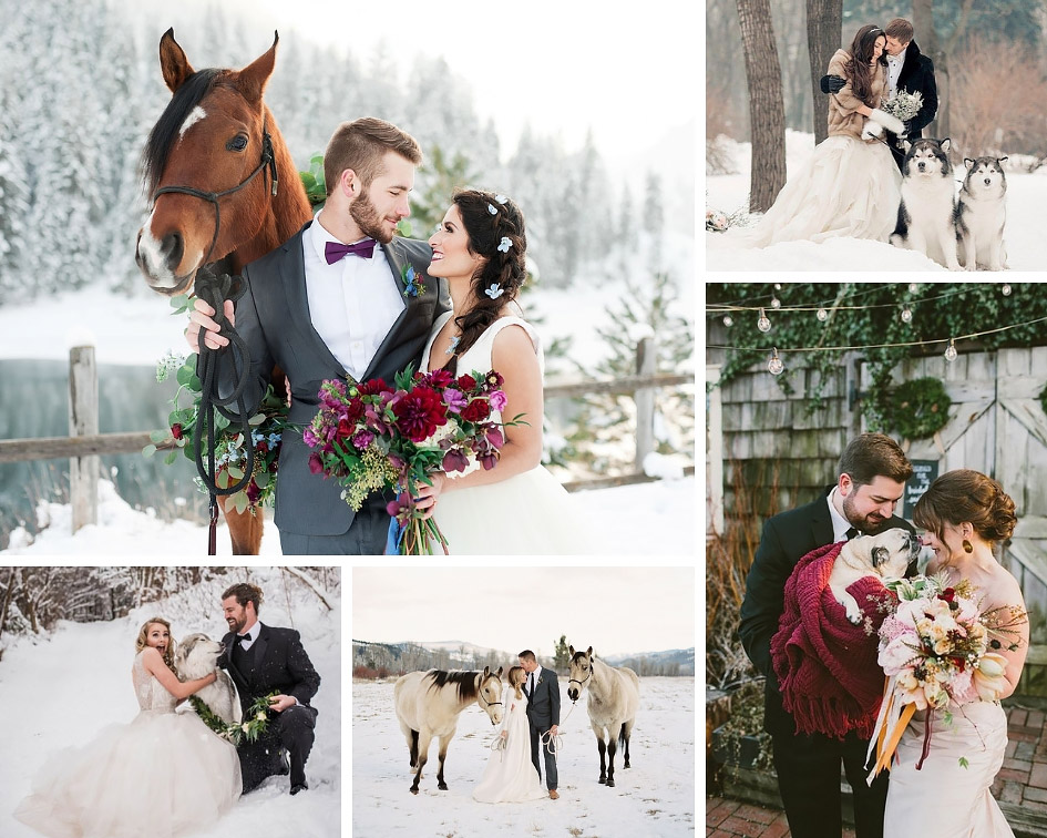 зимняя свадебная фотосессия идеи