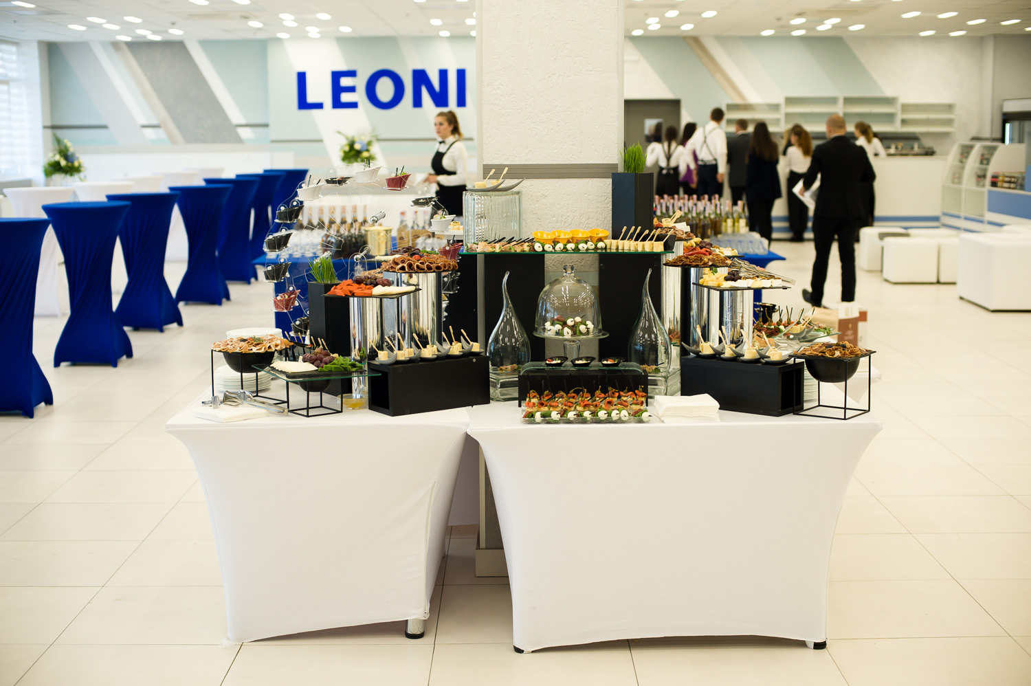 відкриття leoni 