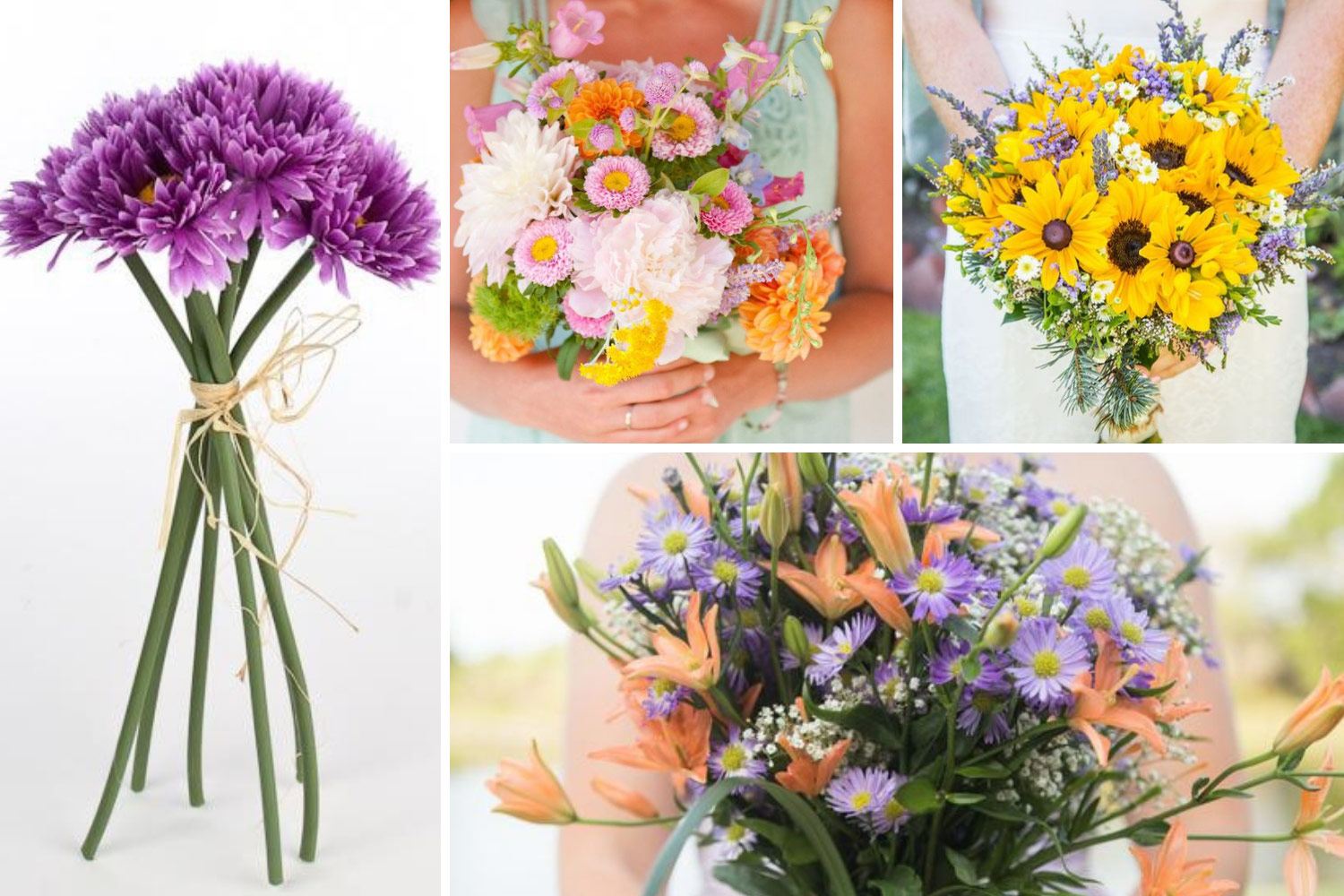 Композиції з айстрами