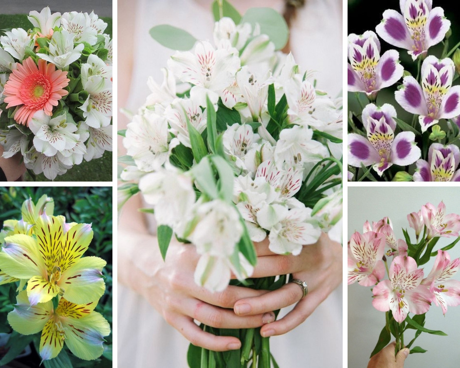 свадебный букет летний