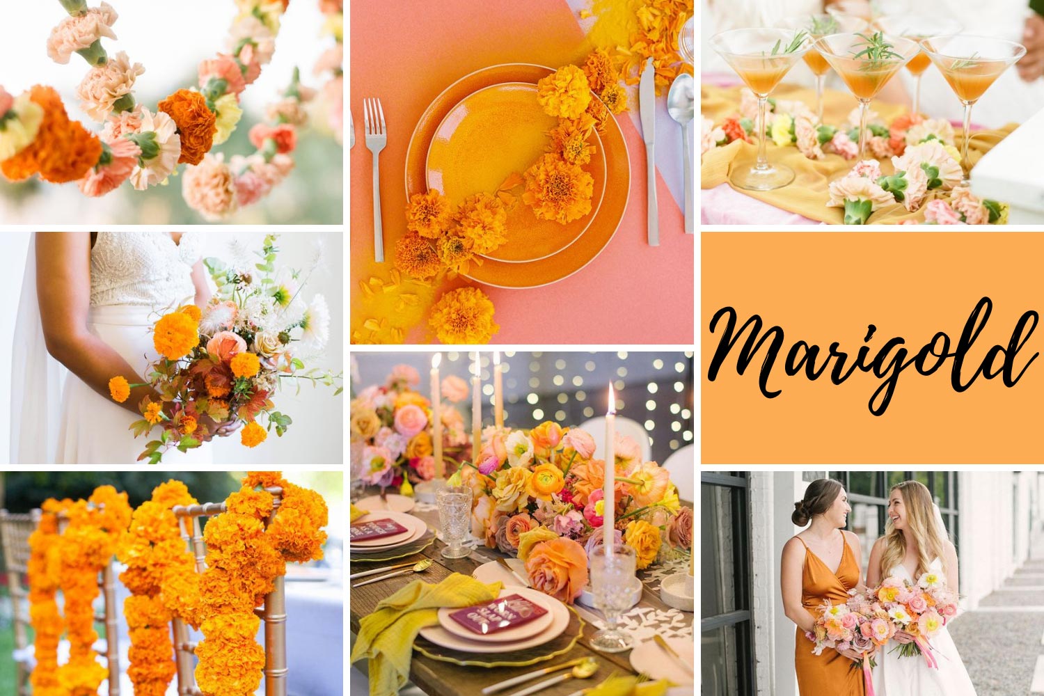 Помаранчеве весілля Marigold фото