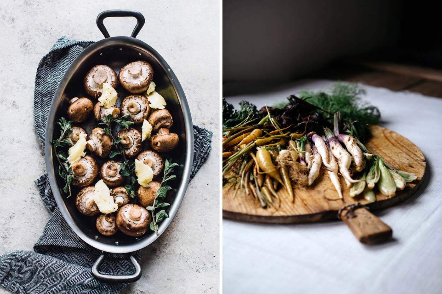 Гриби, коріння фото їжі