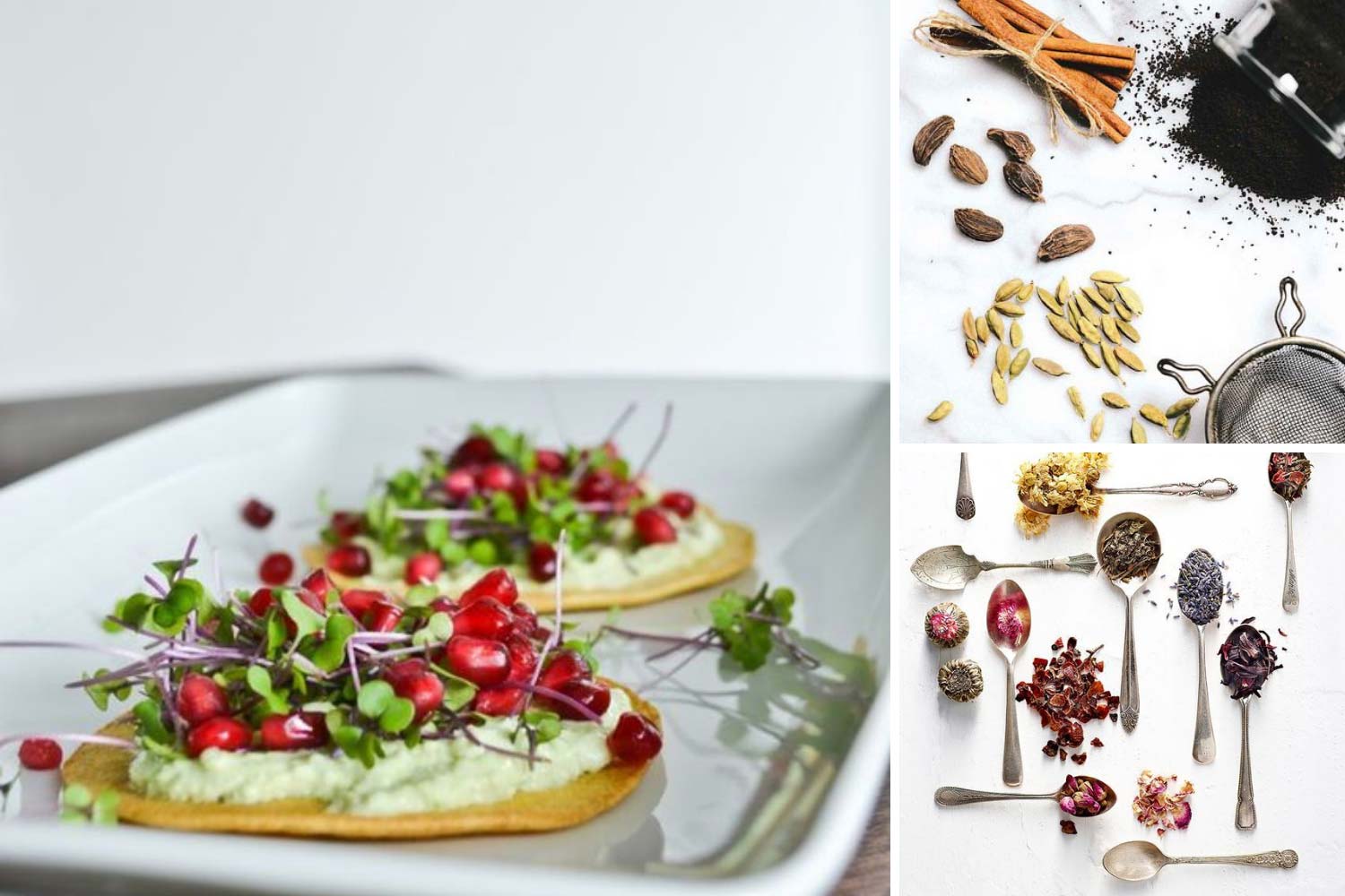 Трави, спеції, мікрозелень фото