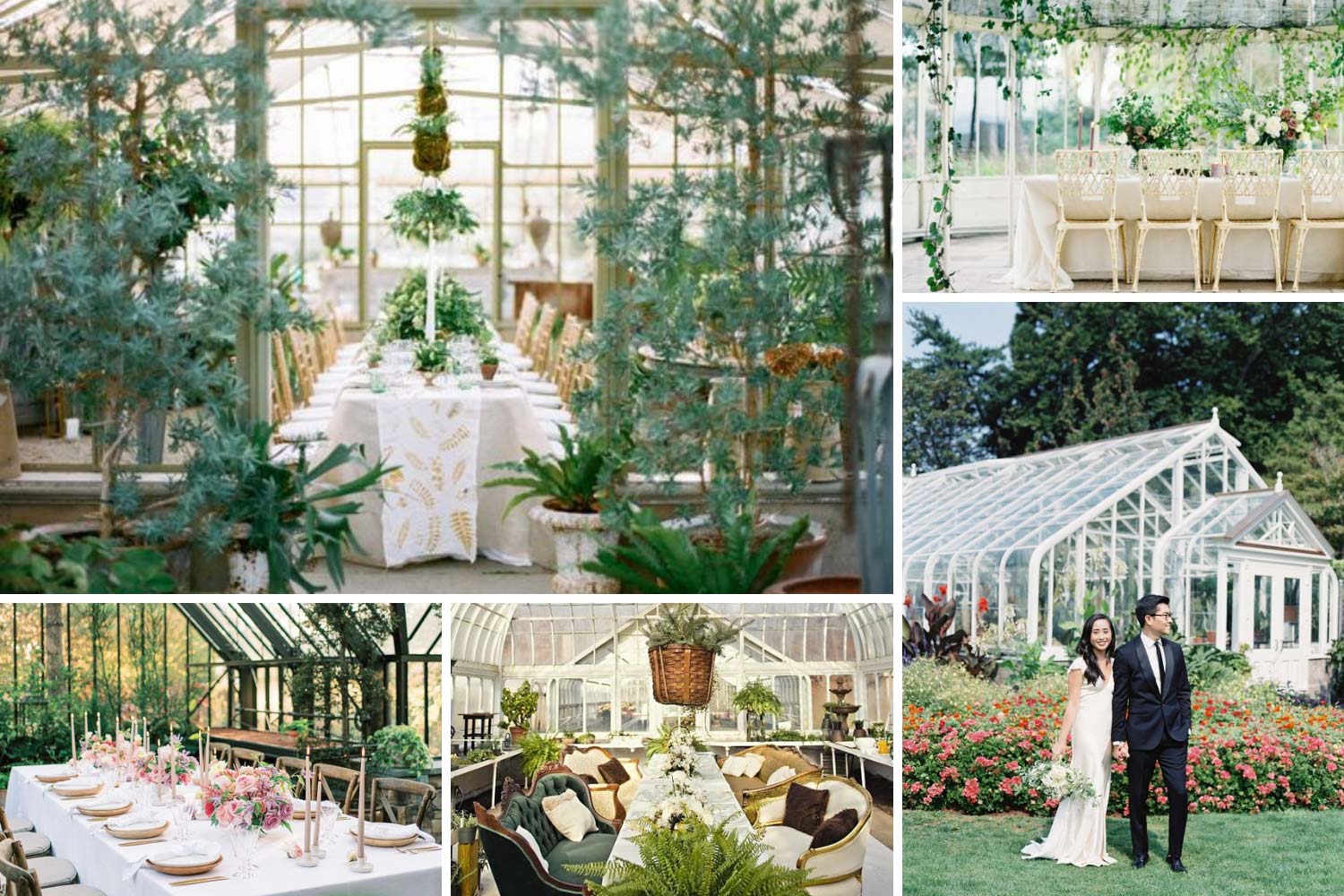 Весілля в ботанічному саду, оранжереї фото