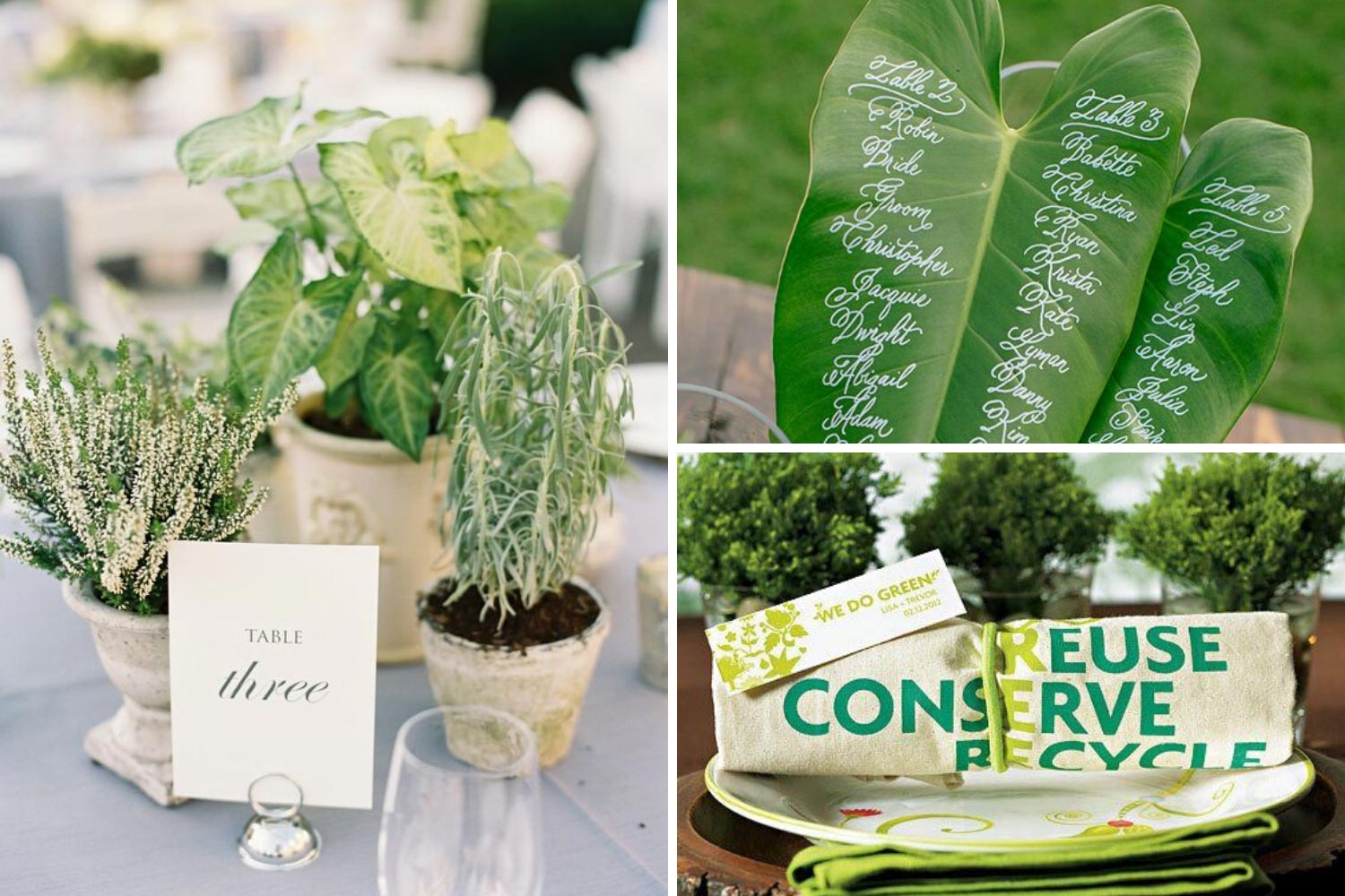 Еко весілля: еко декор, квіти в горщиках, еко подарунки гостям фото