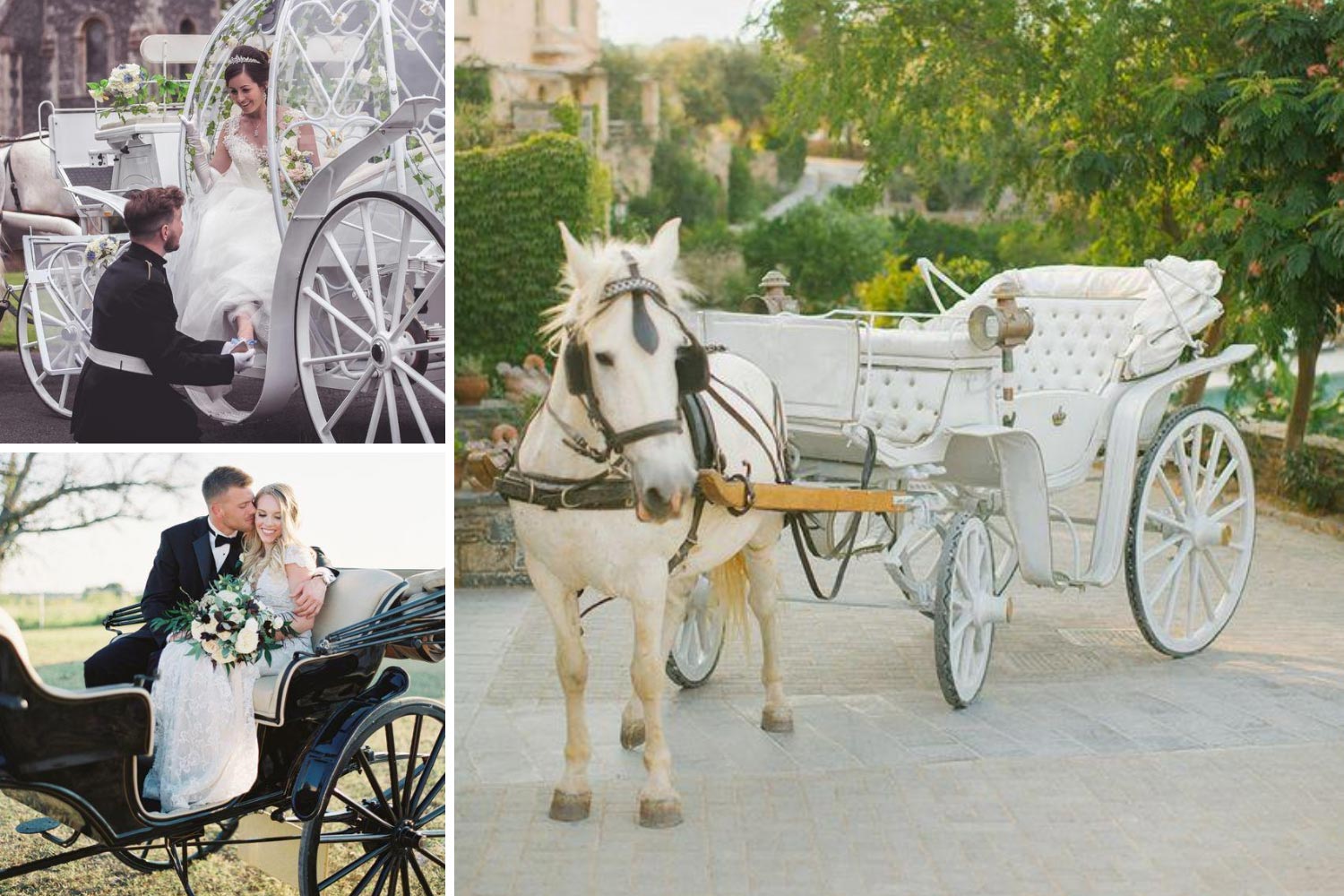 Транспорт на свадьбу: карета фото