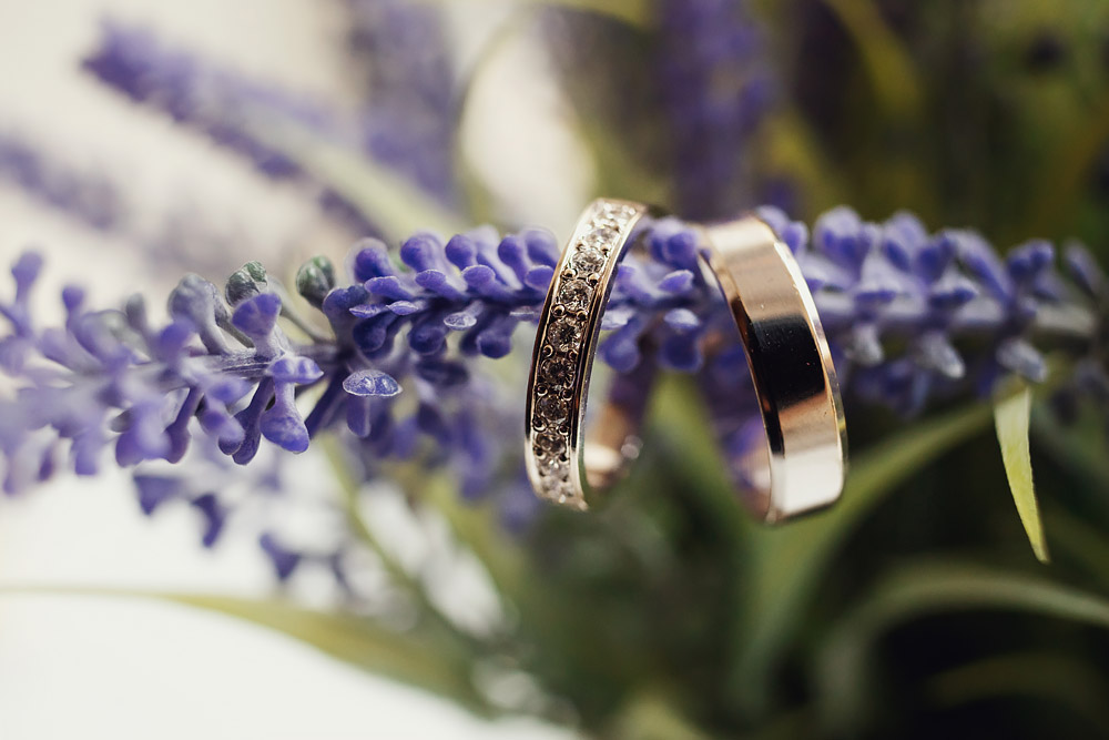 обручки на гілці фото