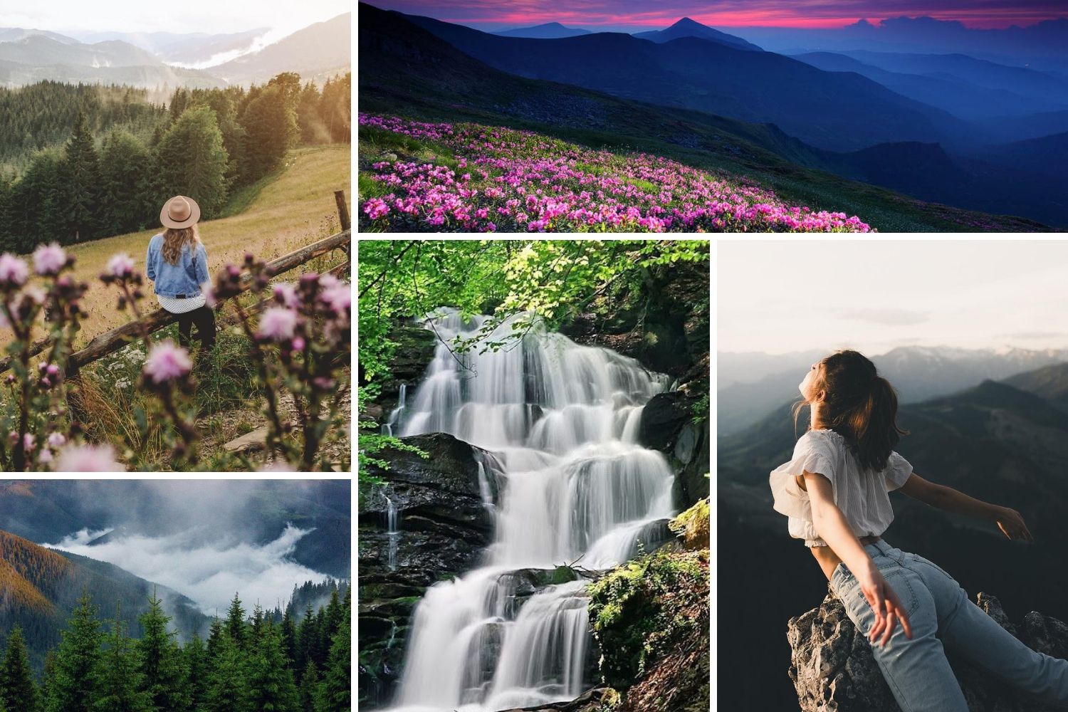 медовий місяць карпати