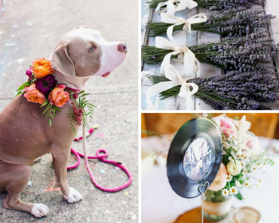 весілля с собакою фото