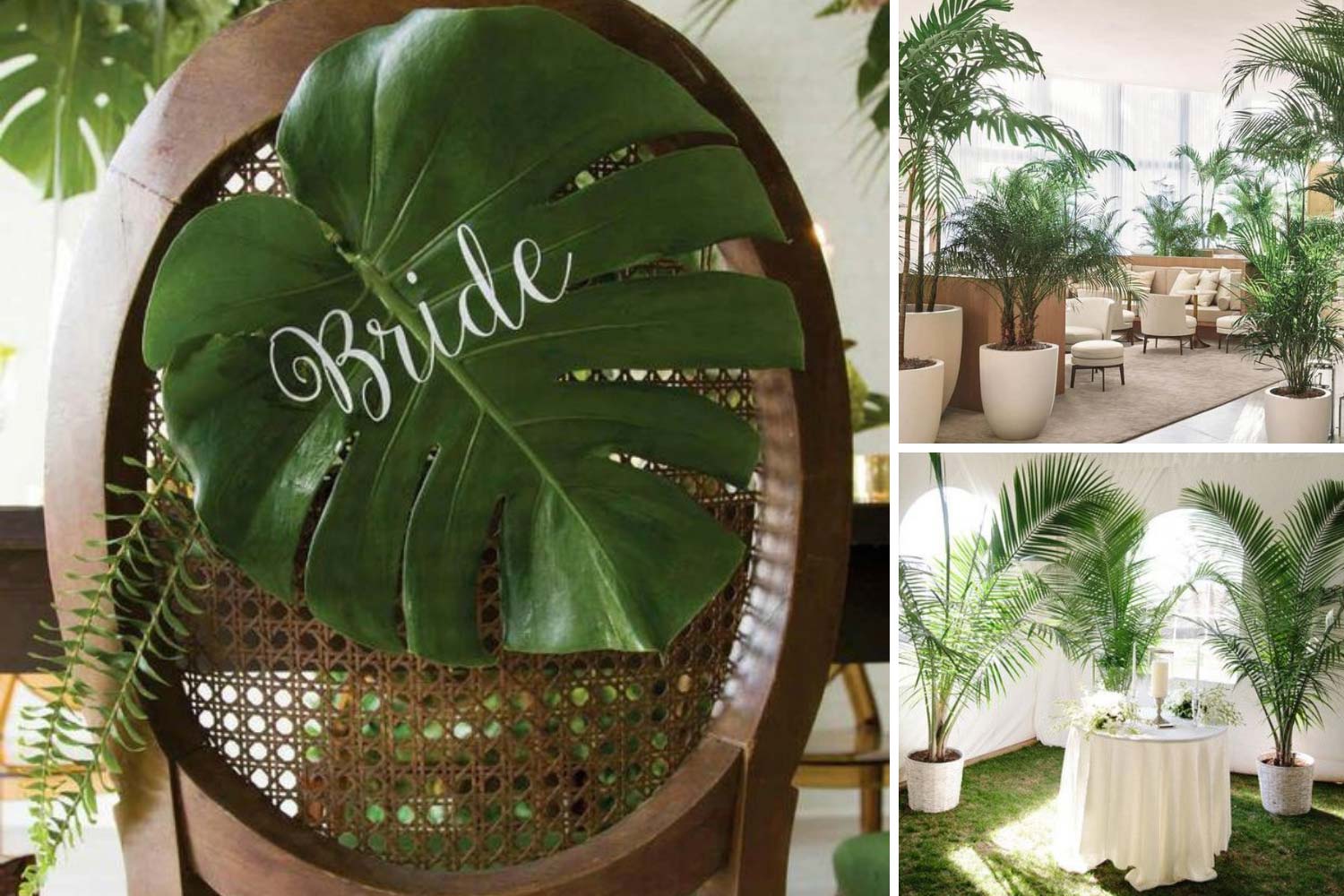 Пальмы в кадках, зеленый декор зала фото