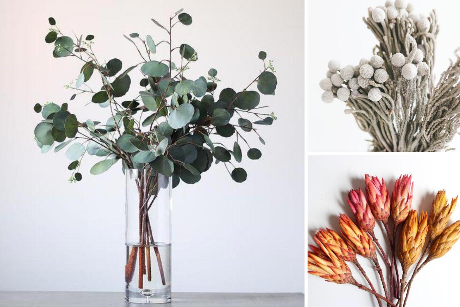 Растения для декора свадьбы идеи