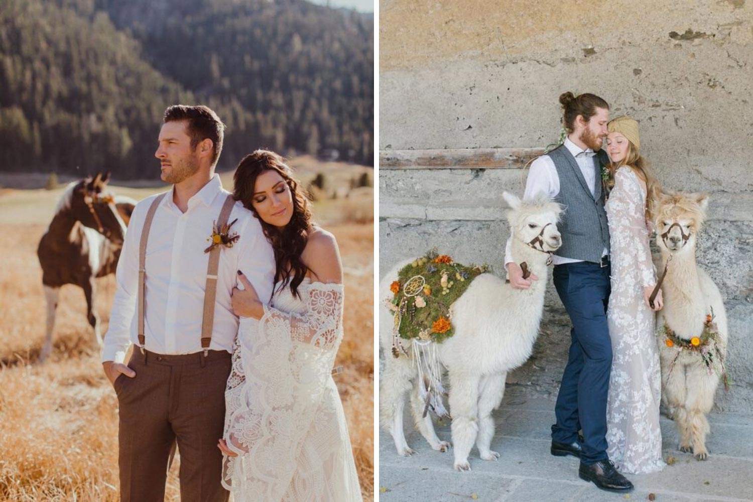 Весільна фотосесія з тваринами: ідеї