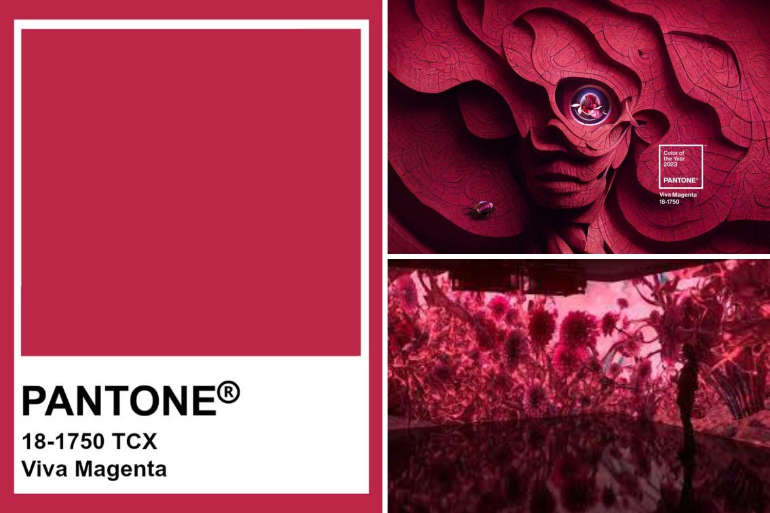 Колір року 2023 Viva Magenta фото