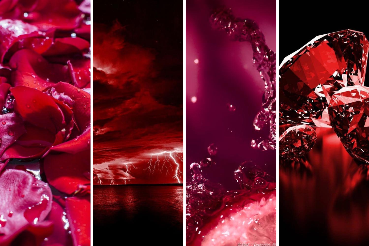 Viva Magenta у природі фото, естетика