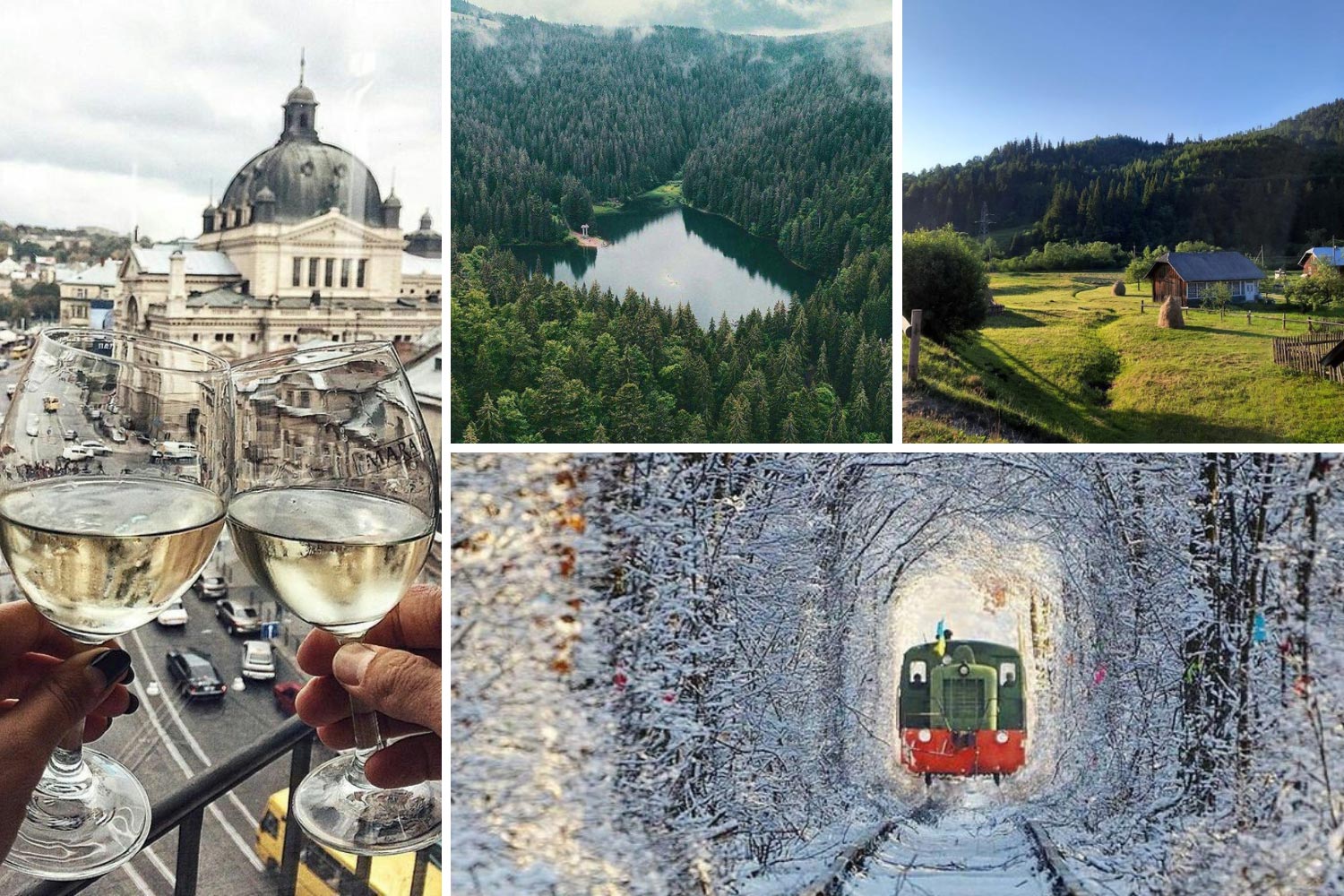 Медовий місяць 2023 в Україні: Львів, Рівне, Карпати, Синевир фото