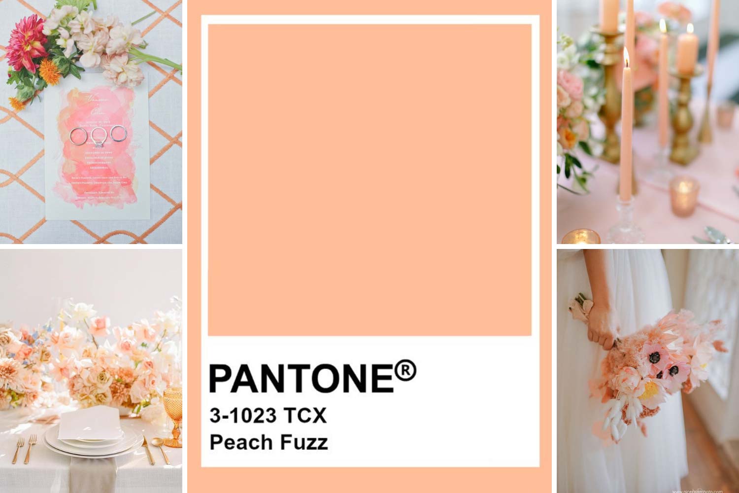 Колір року 2024 та весілля фото