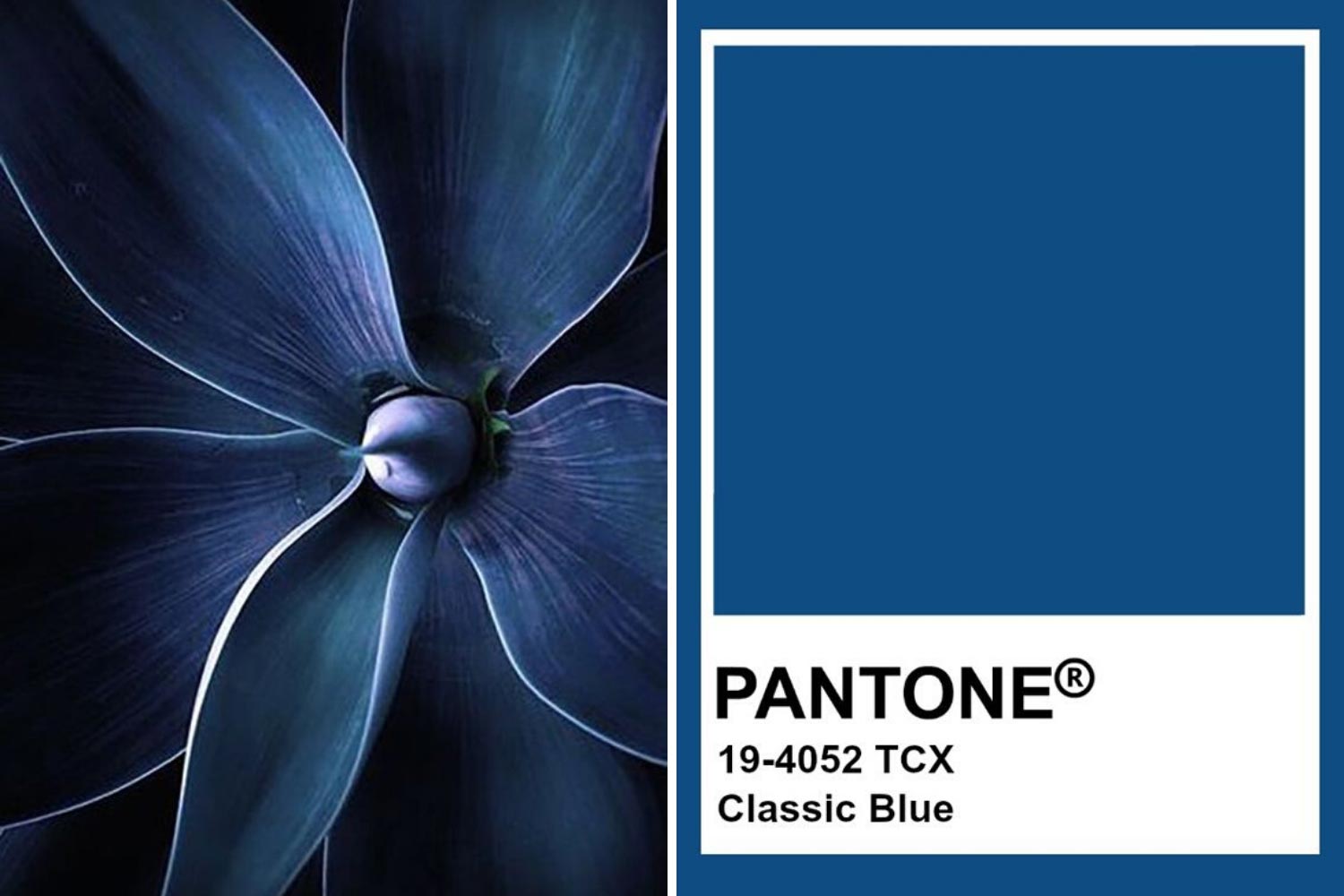 Classic Blue: цвет года 2020 по версии Pantone