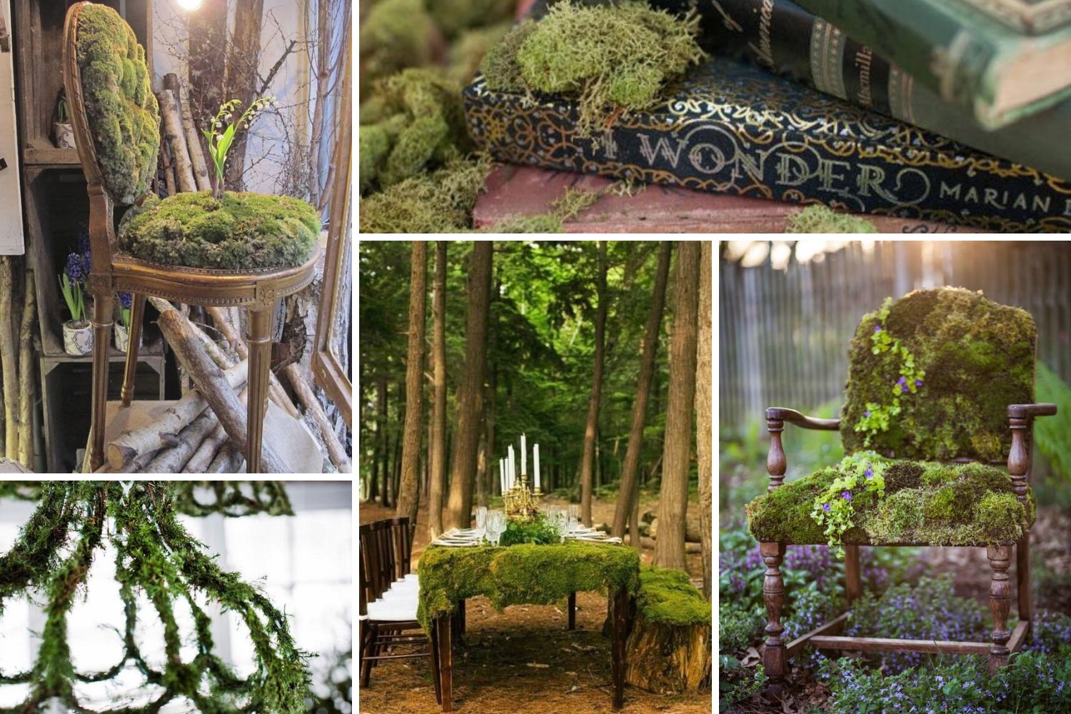 Мебель из мха идеи для свадебных фото 