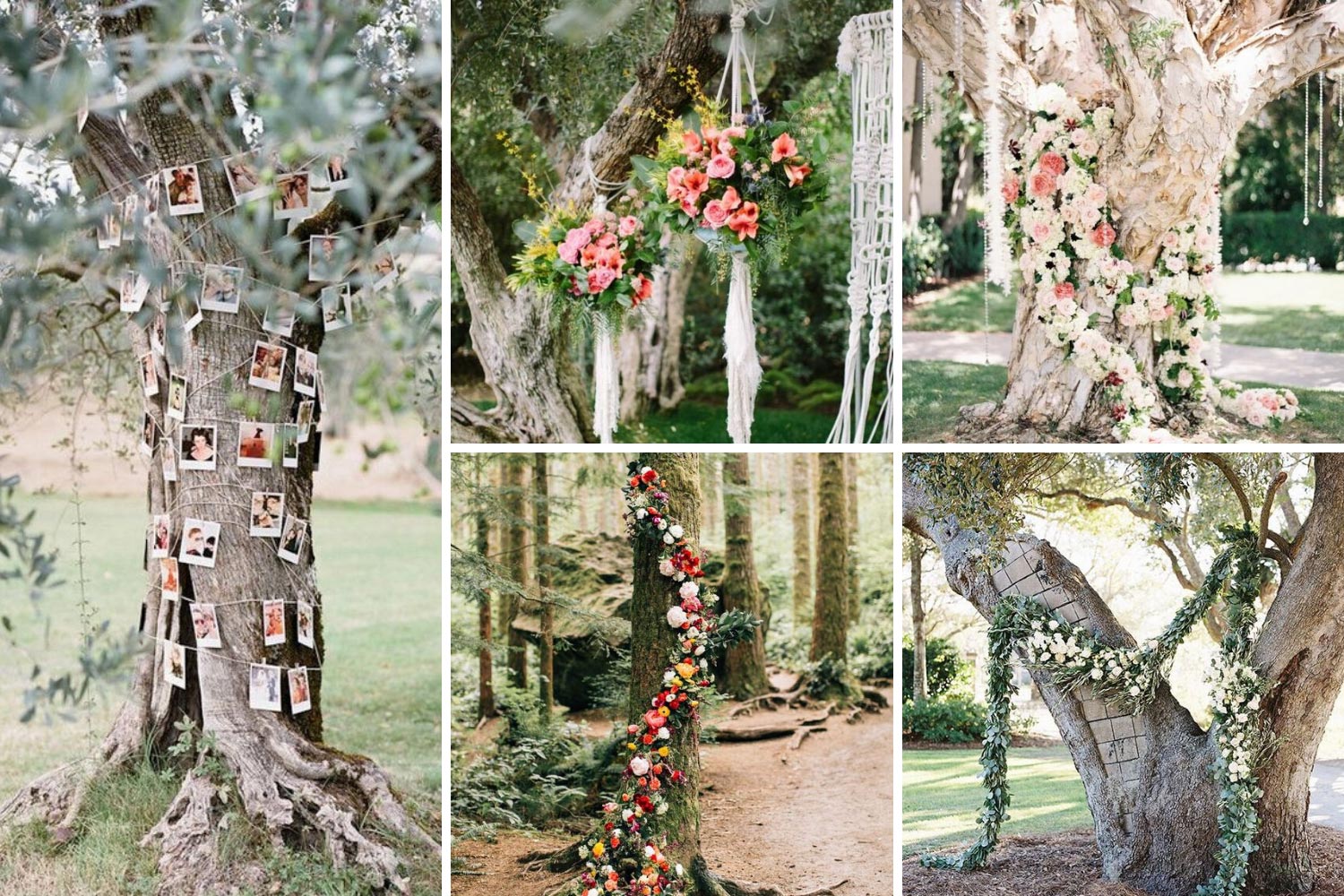 Свадебная фотозона под открытым небом: украшение дерева фото 