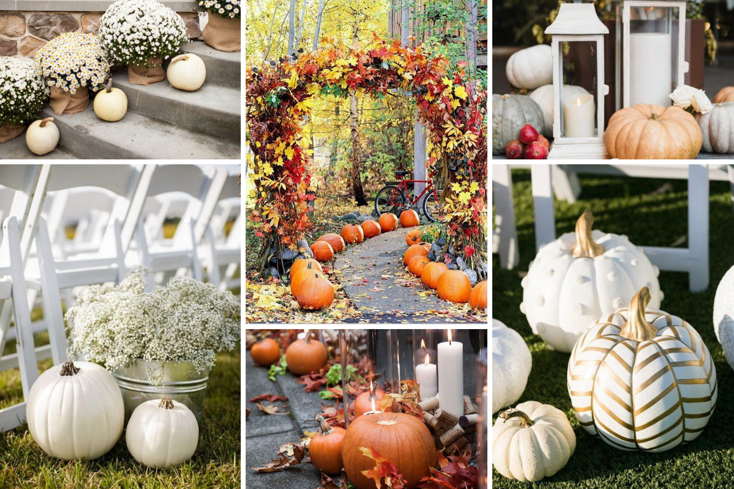 Оформление выездной церемонии тыквами