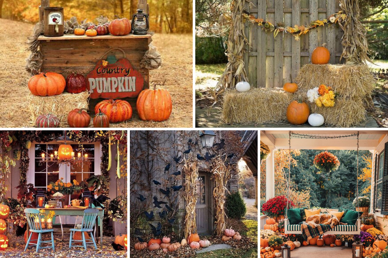 Фотозона на свадьбу в стиле Хэллоуин