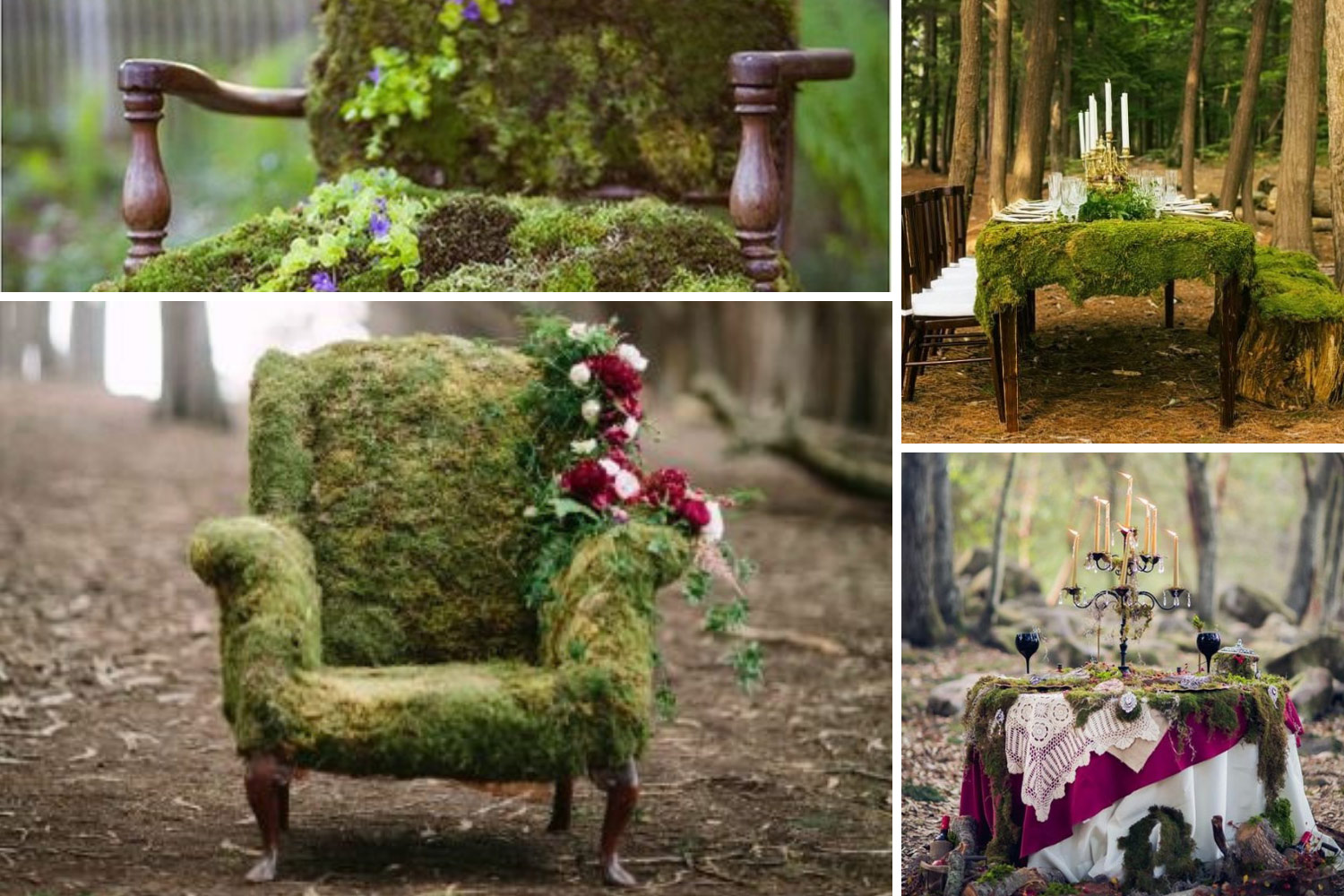 зелена фотозона