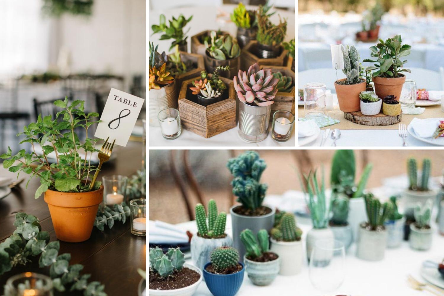 Эко композиции на свадебные столы: растения в горшках фото