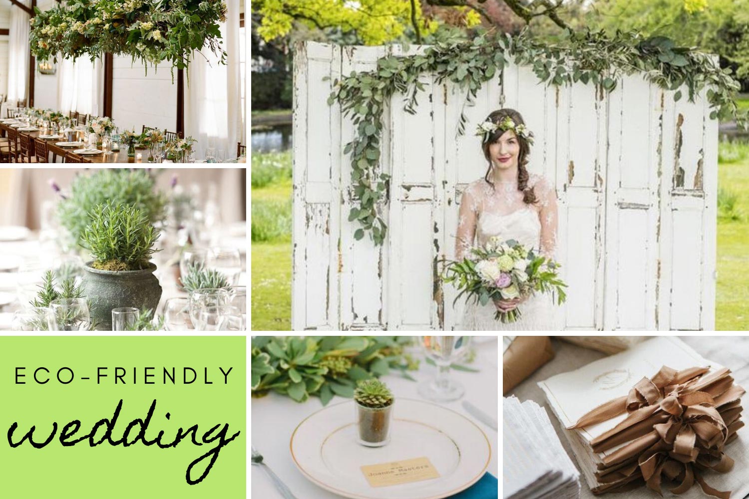 Еко-стиль: рослини в горщиках, рослини подарунки гостям