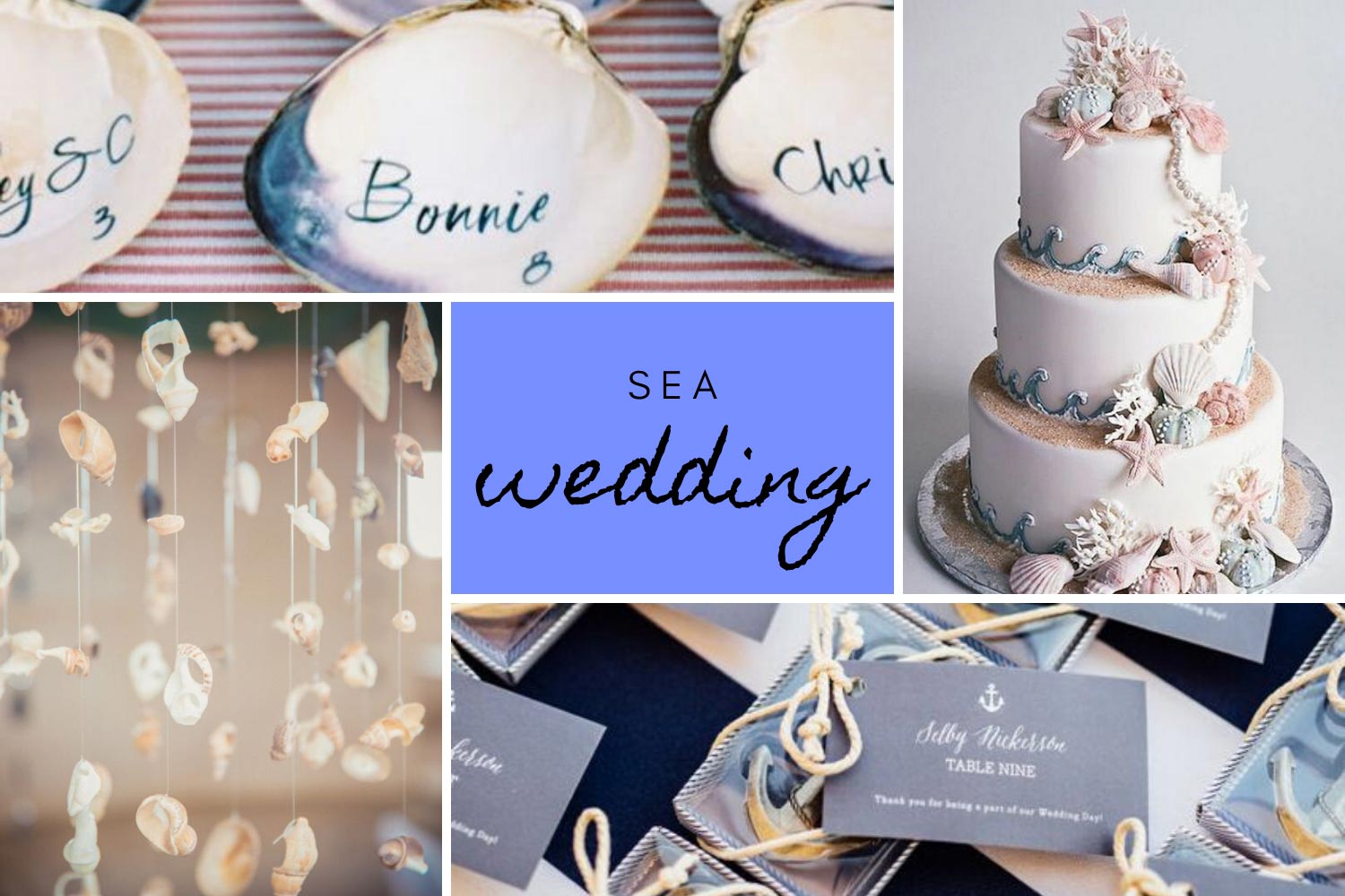 Декор для морського весілля: мушлі фото