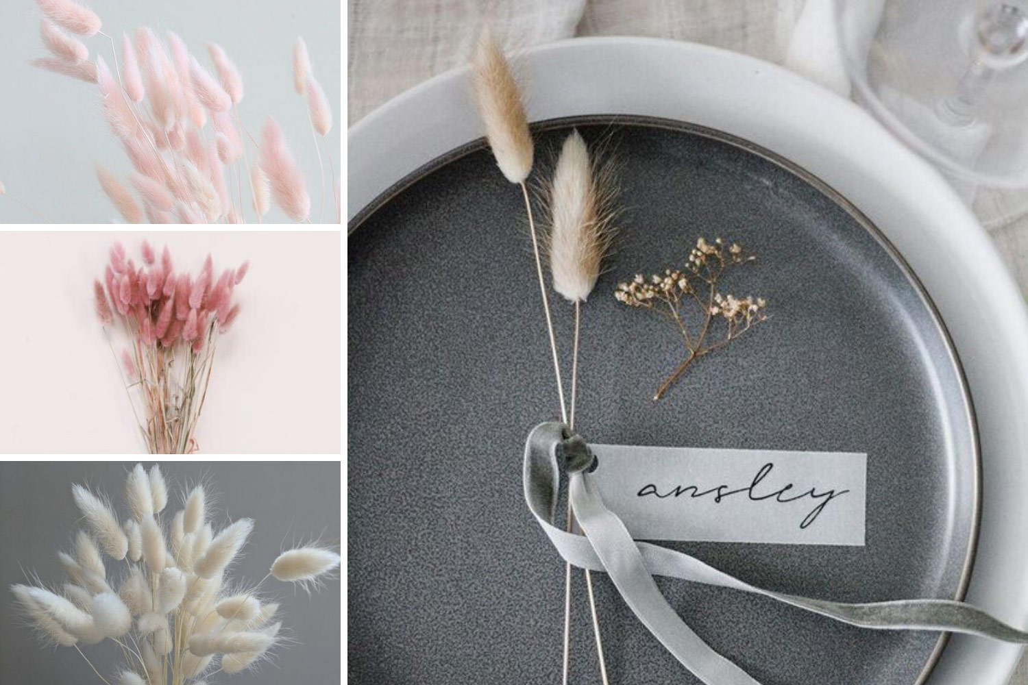 Сухие цветы фото: зайцехвост