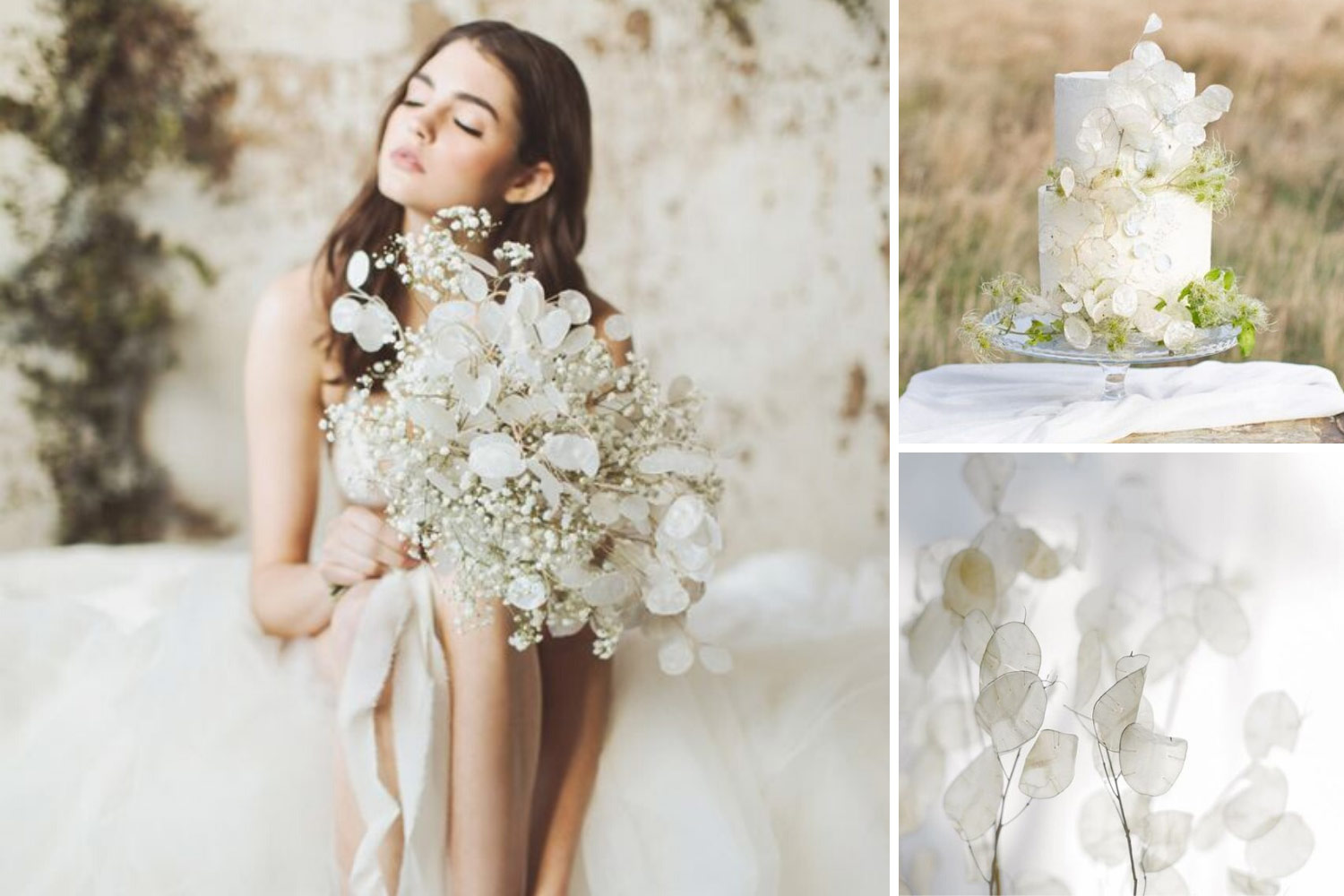 Лунария в оформлении свадьбы фото