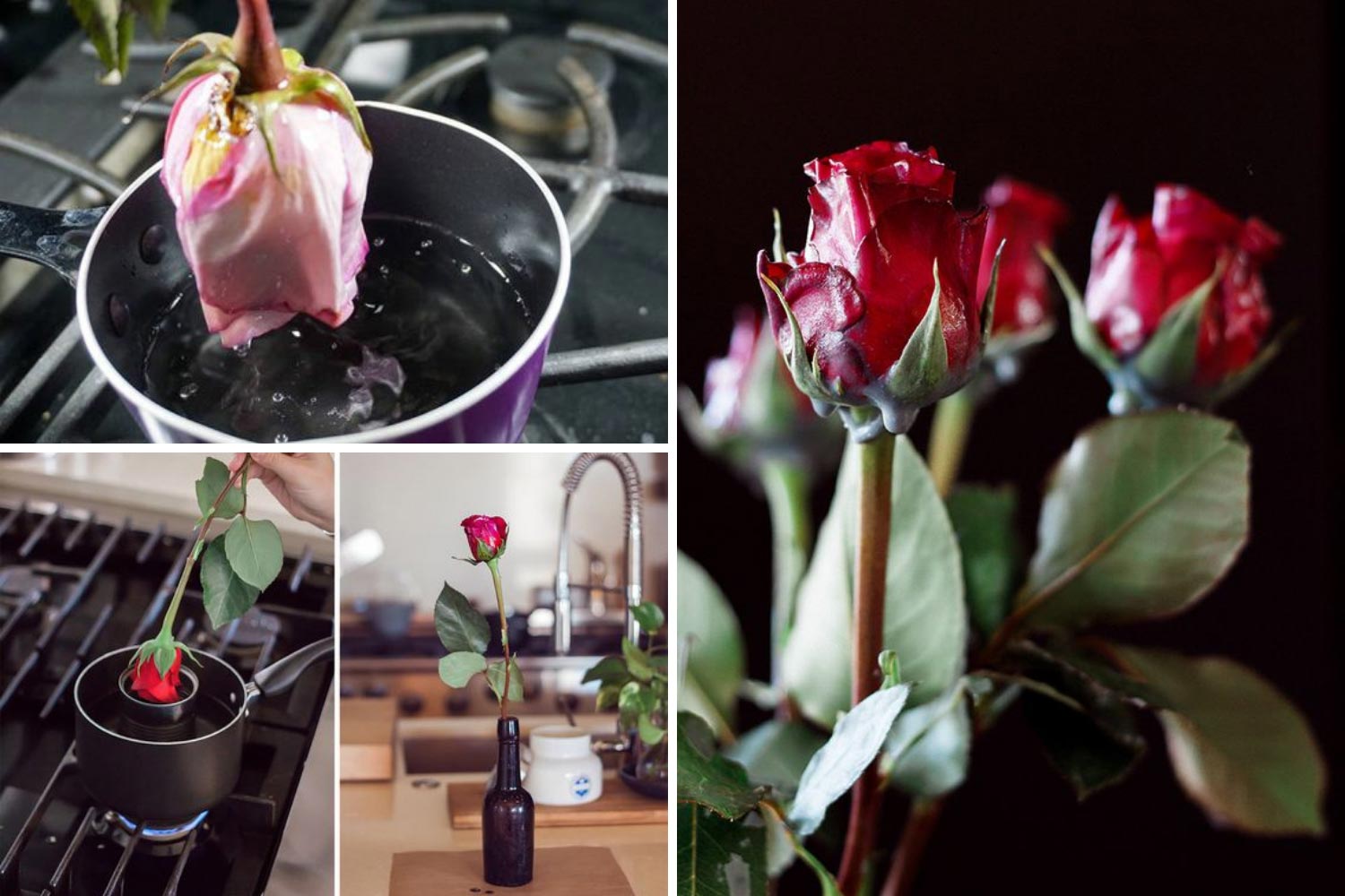 Консервація живих квітів воском фото