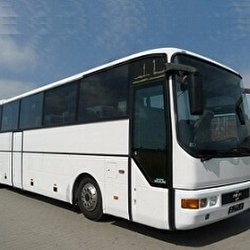 Оренда Автобус