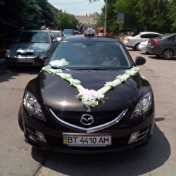 Виталий Алимов