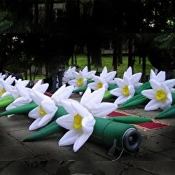 КАРНАВАЛ  студия праздников