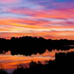 Наталия Сурин