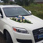 Ваня Семчук