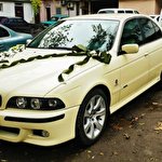 Дмитро Нірода