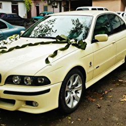 Дмитро Нірода