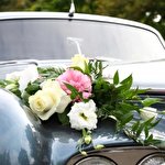 Светлана Авто на свадьбу