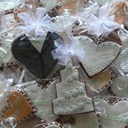 Светлана Черкашина