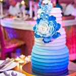 Алина Стеблянко