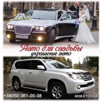 Дима Дима 0038